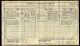 1911 Census